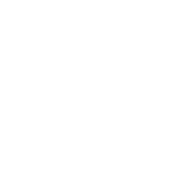 Inside the Professional Fighters League's Strategy for Success